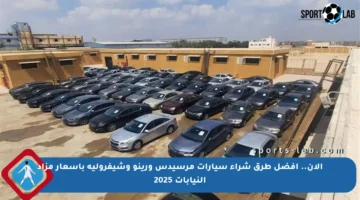 الآن.. أفضل طرق شراء سيارات مرسيدس ورينو وشيفرولية بأسعار مزاد النيابات 2025